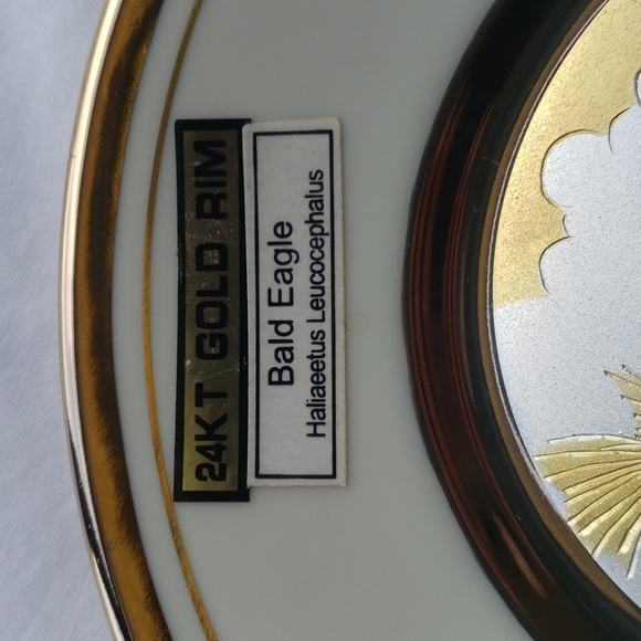 DYNASTY GALLERY. BALD EAGLE PLATE. - Picture 16 of 16